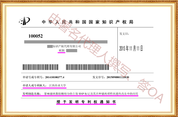 长沙欧诺知识产权代理有限公司,知识产权代理,长沙专利代理,专利代办哪家好,专利申请,发明专利申请