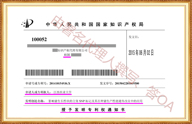 长沙欧诺知识产权代理有限公司,知识产权代理,长沙专利代理,专利代办哪家好,专利申请,发明专利申请