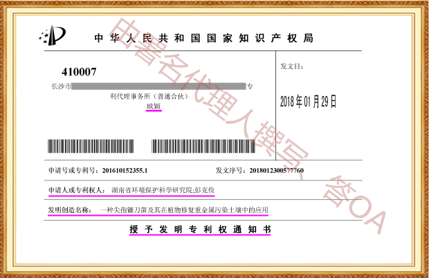 长沙欧诺知识产权代理有限公司,知识产权代理,长沙专利代理,专利代办哪家好,专利申请,发明专利申请